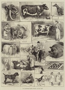 La mostra di bestiame, pollame e cani di Birmingham